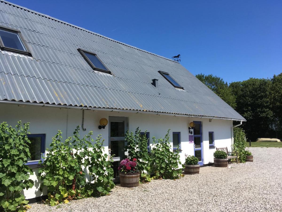 Rolso Retreat Villa Knebel Exterior photo