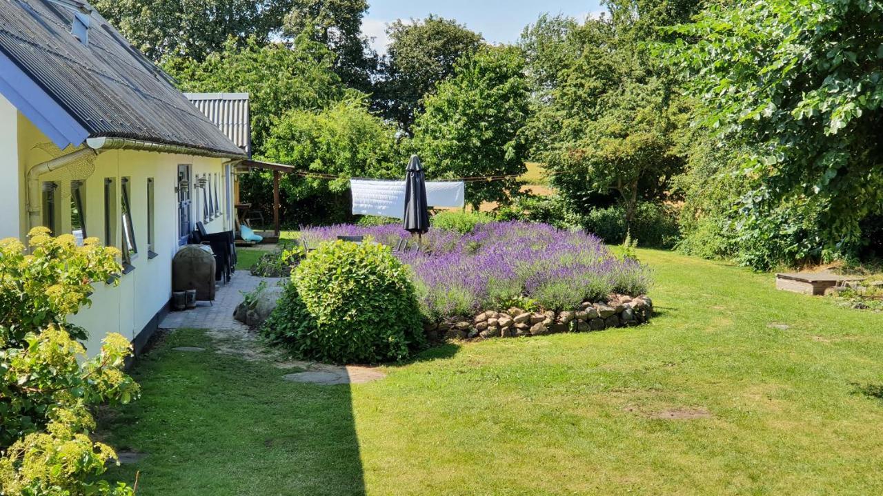 Rolso Retreat Villa Knebel Exterior photo